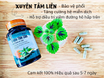 Xuyên Tâm Liên - Đông Trùng Hạ Thảo ( HỘP 60 VIÊN)